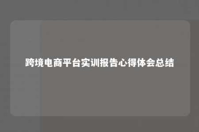 跨境电商平台实训报告心得体会总结 跨境电商实战平台实训报告